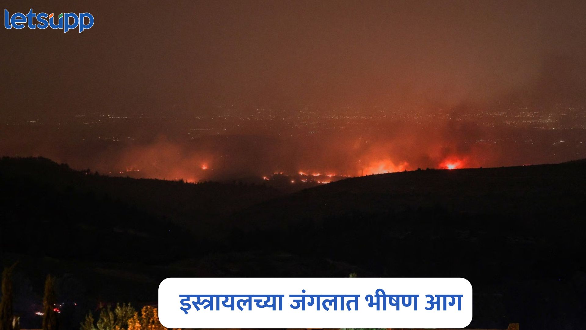 Israel Wildfires:  मोठी बातमी! इस्त्रायलच्या जंगलात भीषण आग, आणीबाणी जाहीर