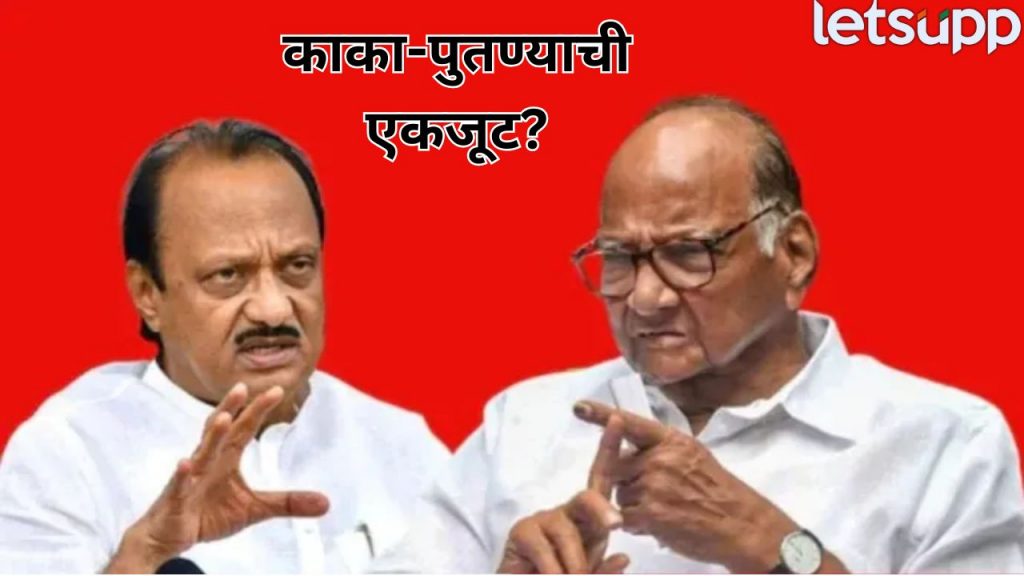 Maharashtra Politics (8)
