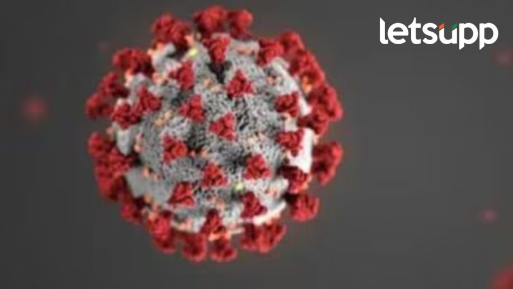 मुंबईतील 'त्या' दोन रुग्णांचा मृत्यू करोनाने झाला का?, मनपात रुग्णांना उपचार अन् मार्गदर्शनाची सोय