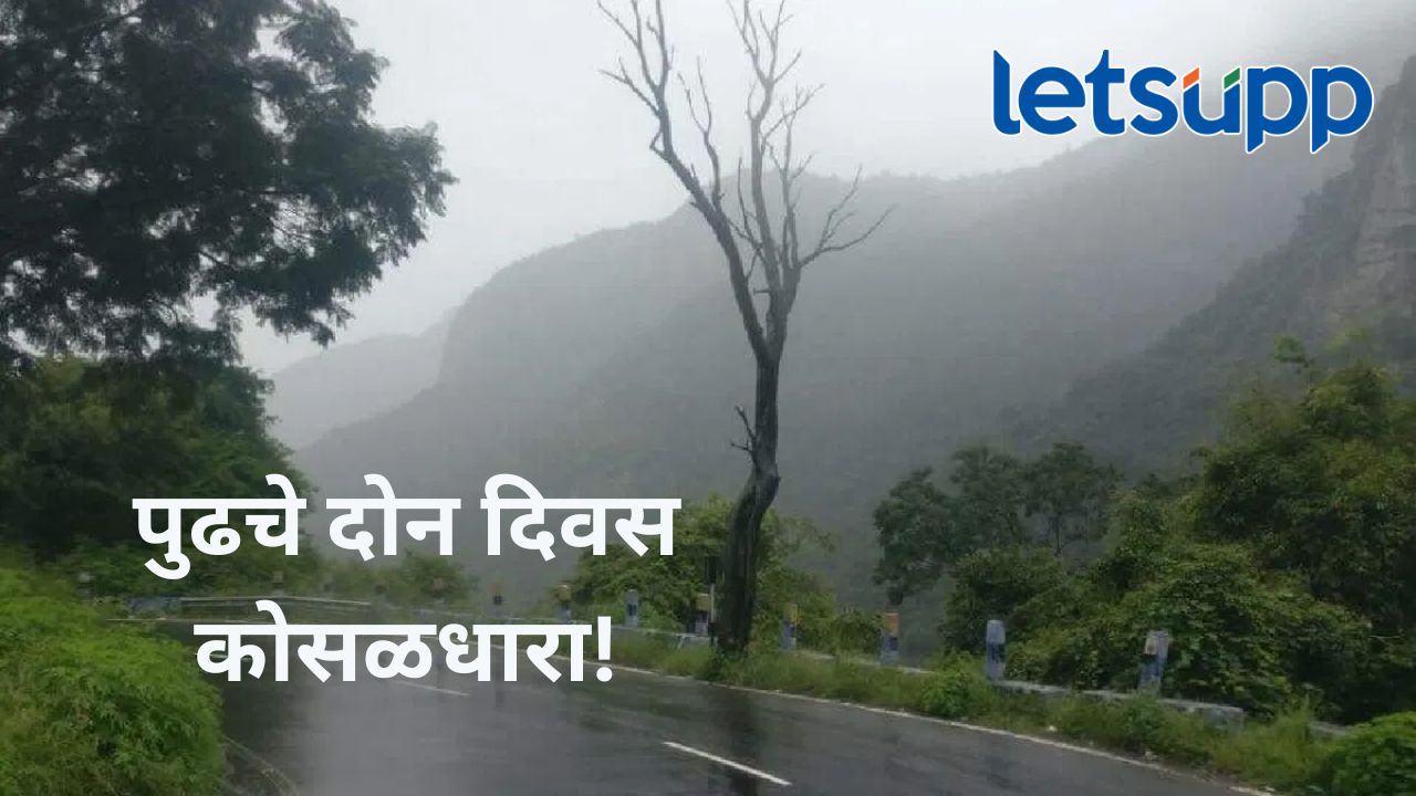 मध्य महाराष्ट्रासह मराठवाड्यात मुसळधार पाऊस होणार; ‘या’ जिल्ह्यांसाठी येलो अलर्ट मध्य महाराष्ट्रासह मराठवाड्यात मुसळधार पाऊस होणार; 'या' जिल्ह्यांसाठी येलो अलर्ट