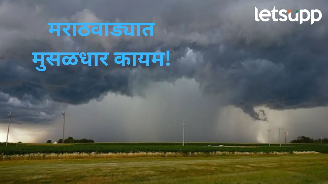 अरबी समुद्रात कमी दाबाचा पट्टा; विदर्भ अन् मराठवाड्यात मुसळधार पावसाची शक्यता अरबी समुद्रात कमी दाबाचा पट्टा; विदर्भ अन् मराठवाड्यात मुसळधार पावसाची शक्यता
