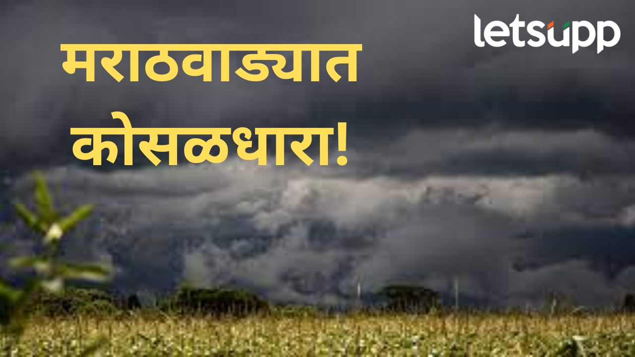 मराठवाड्यात पुढील तीन दिवस पाऊस कायम राहणार; वाचा, काय आहे हवामान विभागाचा अंदाज? मराठवाड्यात पुढील तीन दिवस पाऊस कायम राहणार; वाचा, काय आहे हवामान विभागाचा अंदाज?