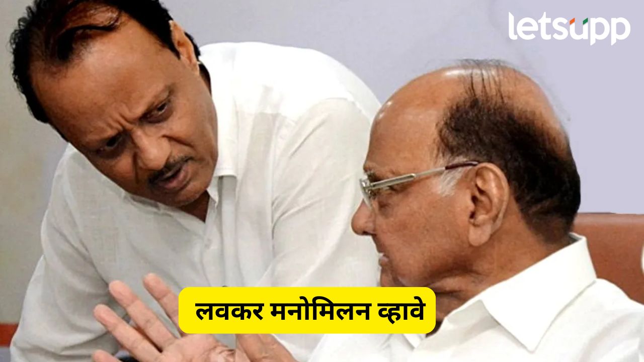 दोन्ही राष्ट्रवादीचे लवकर मनोमिलन व्हावे, मी मध्यस्थीसाठी तयार; अजितदादांच्या नेत्याचं मोठं विधान Sharad Pawar (3)