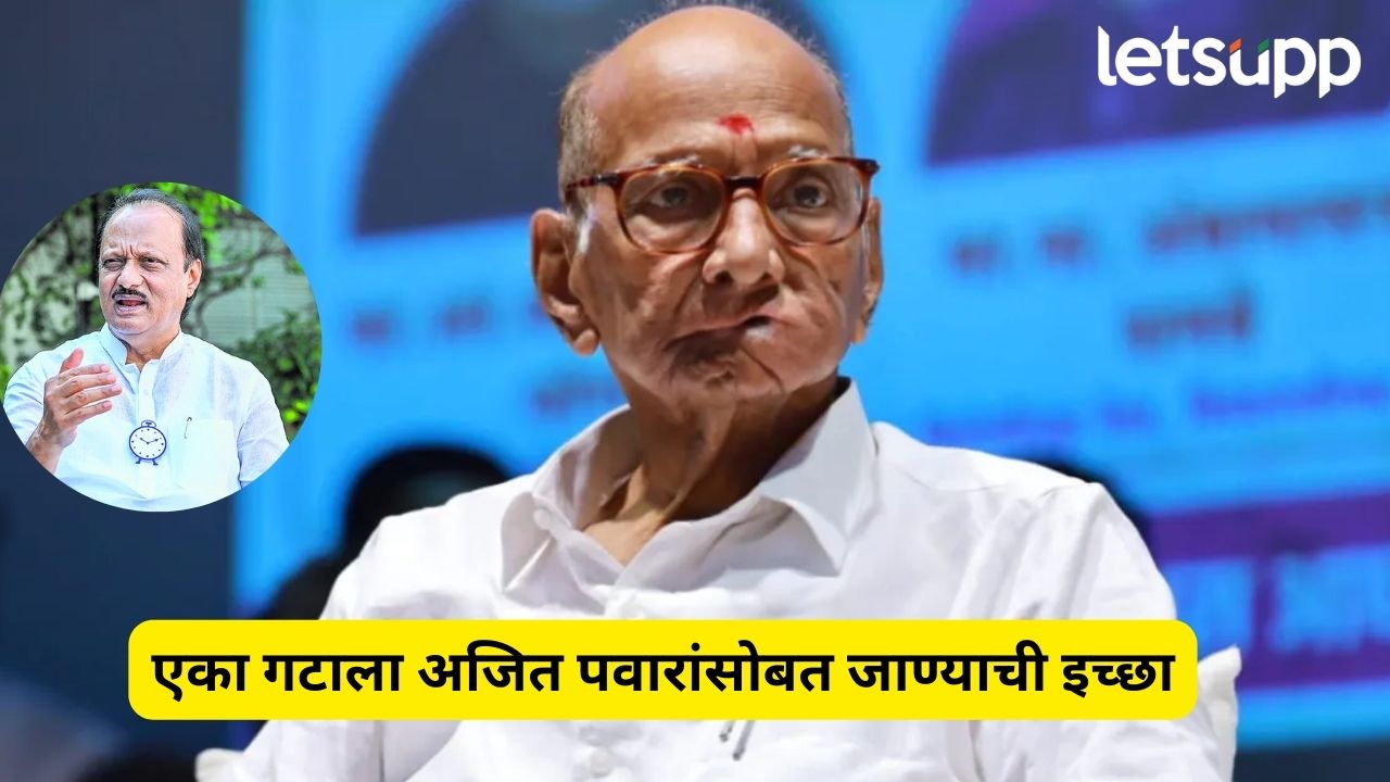 शरद पवारांच्या पोटातलं ओठावर आलं… अजित दादांशी जुळवून घेणार Sharad Pawar