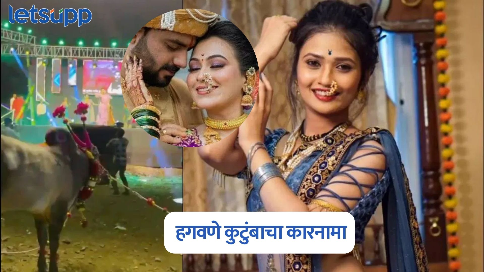 हगवणे कुटुंबाचा कारनामा, बैलासमोर ठेवला गौतमी पाटीलचा कार्यक्रम Vaishnavi Hagawane Case