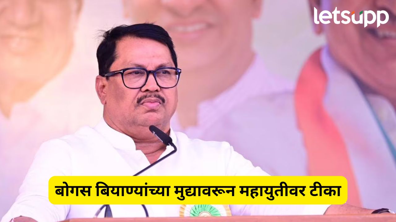 बोगस बियाण्यांचे धागेदोरे थेट मंत्रालयापर्यंत; वडेट्टीवारांचा गंभीर आरोप Vijay Wadettiwar