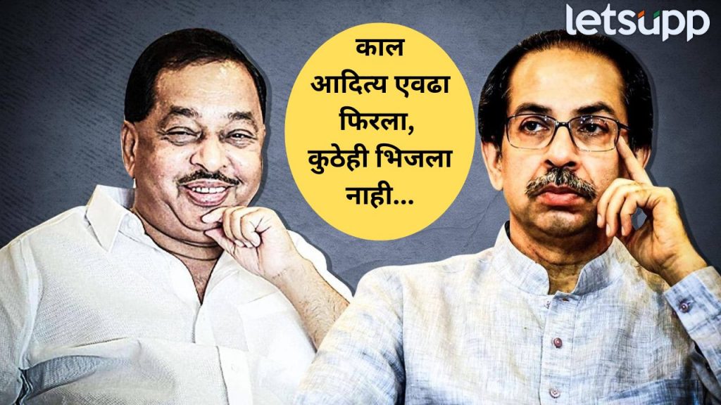 Narayan Rane