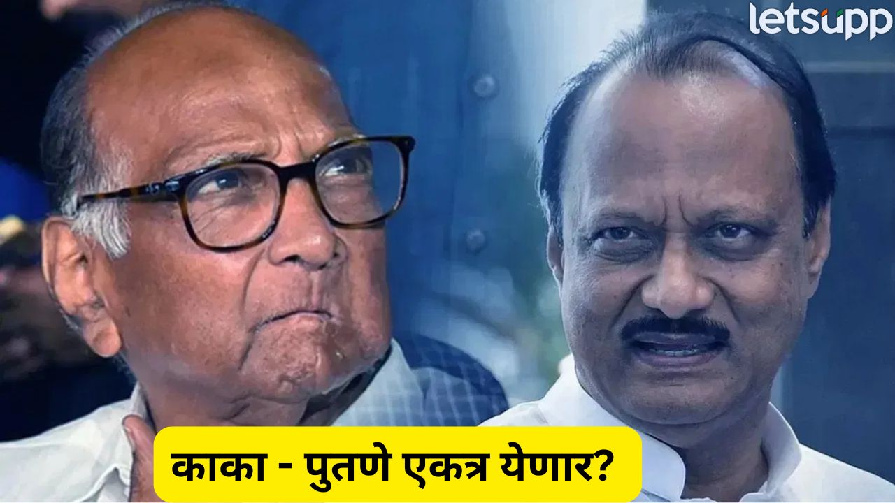दोन्ही राष्ट्रवादी एकत्र येणार? शरद पवारांनी तीन शब्दांत दिलं उत्तर… Politics (14)