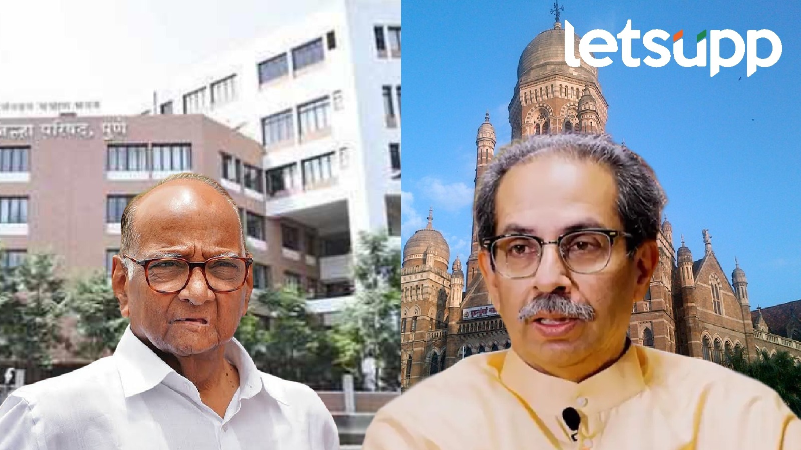 स्थानिक स्वराज्य संस्था निवडणुका : करो या मरो… ठाकरे आणि शरद पवारांचे मिशन Sharad Pawar And Uddhav Thackery