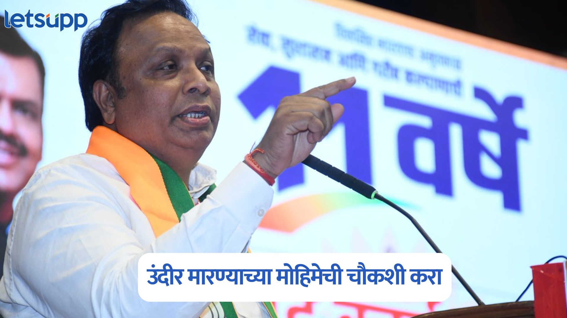 पालिकेची भूमिका संशयास्पद, उंदीर मारण्याच्या मोहिमेची चौकशी करा; आशिष शेलार यांचे निर्देश Ashish Shelar On BMC