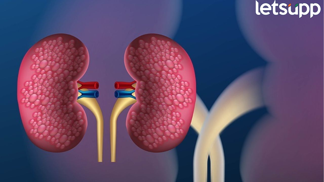तुमची किडनी खराब होतेय? शरीर देते ‘असे’ संकेत, वेळीच ओळखा अन् सावध व्हा… Kidney