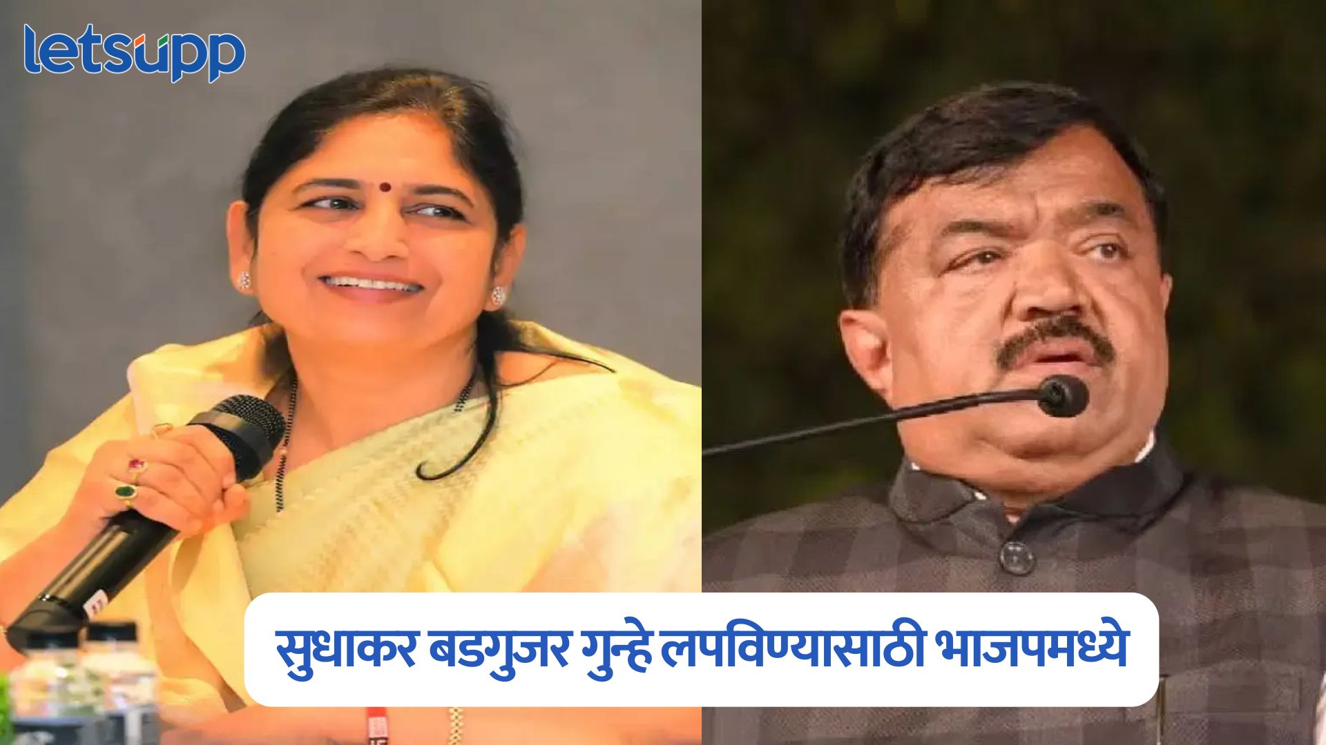 ठाकरेंनी हाकललेल्या बडगुजरांना ‘होम ग्राऊंडवर’ चं विरोध; भाजप प्रवेश रखडणार? MLA Seema Hire On Sudhakar Badgujar