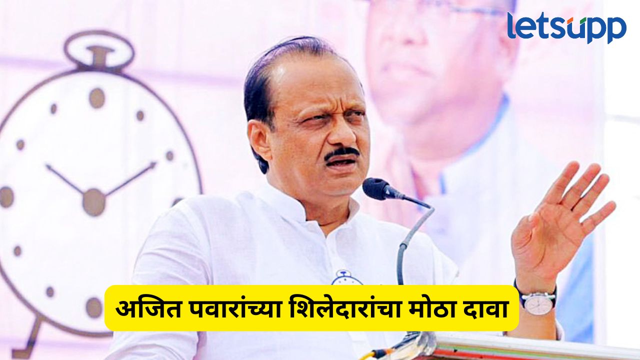 पांडुरंगाच्या मर्जीने राजकारणात उलथापालथ होणार अन् अजितदादा मुख्यमंत्री…; मिटकरींचा दावा Ajit Pawar (2)