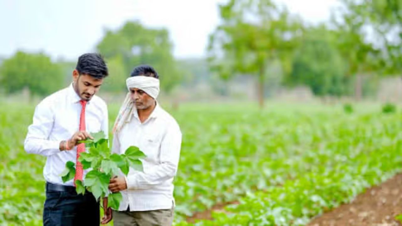 PM Crop Insurance : प्रधानमंत्री पीकविमा योजनेत मोठा बदल, राज्यांना ‘एस्क्रो’ खातं बंधनकारक.. Crop Insurance