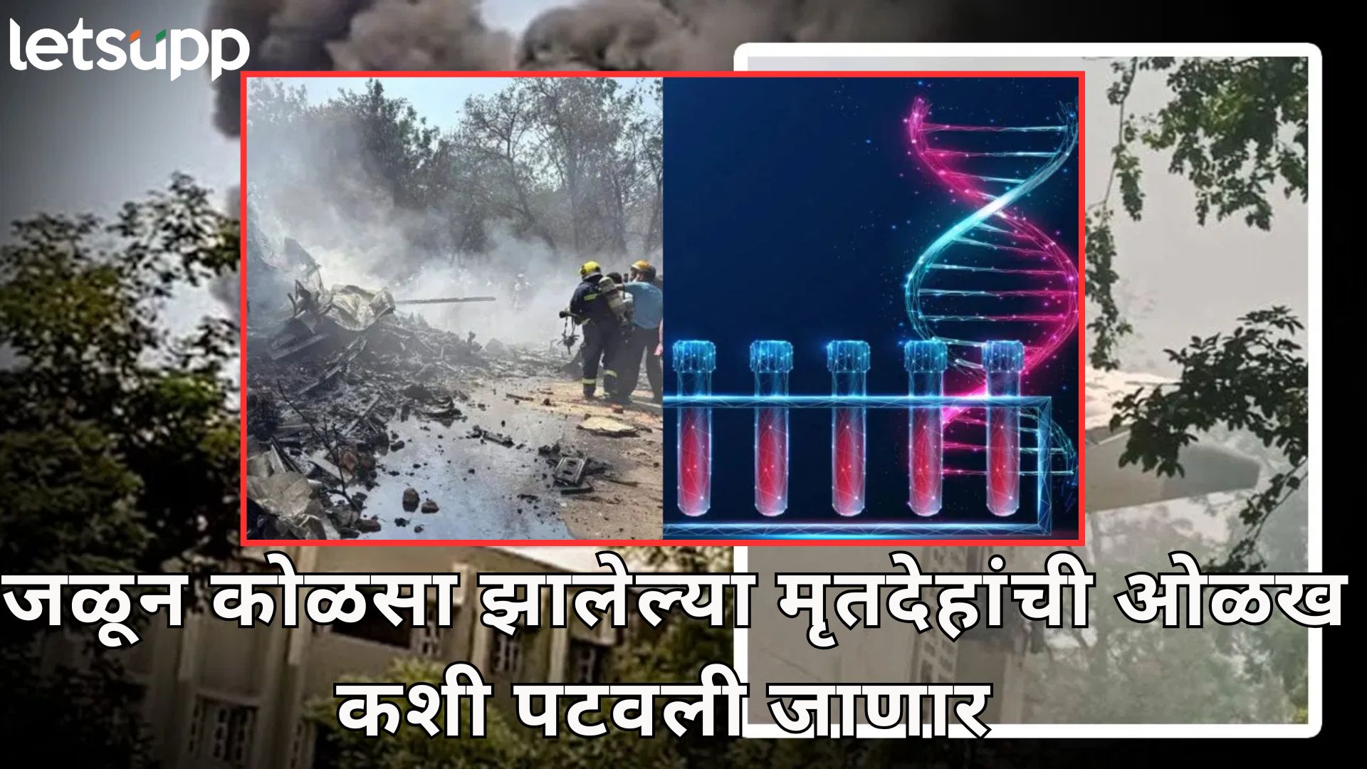 Ahmedabad Plane Crash : 241 प्रवाशांच्या शरीराचा कोळसा, नेमकी कशी होणार DNA टेस्ट Letsupp Image 2025 06 13T111930.135