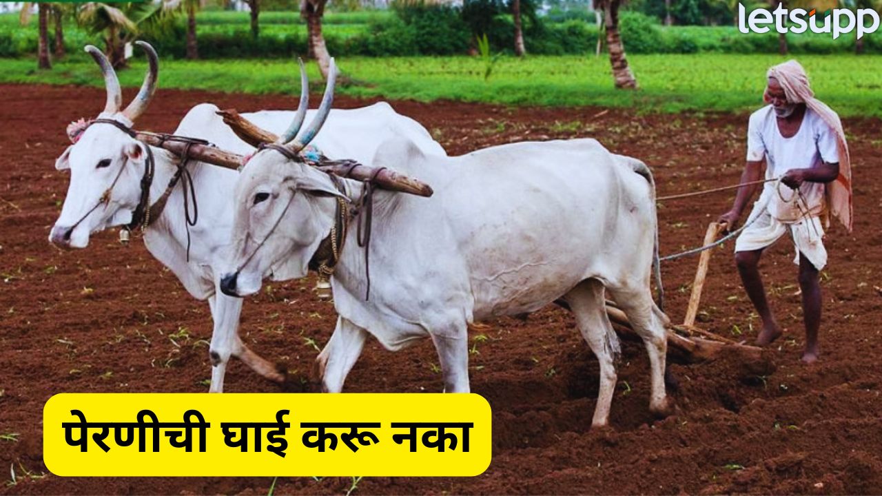 शेतकऱ्यांनो, पेरणीची घाई नको…किमान 10 जूनपर्यंत पावसात घट Rain (1)