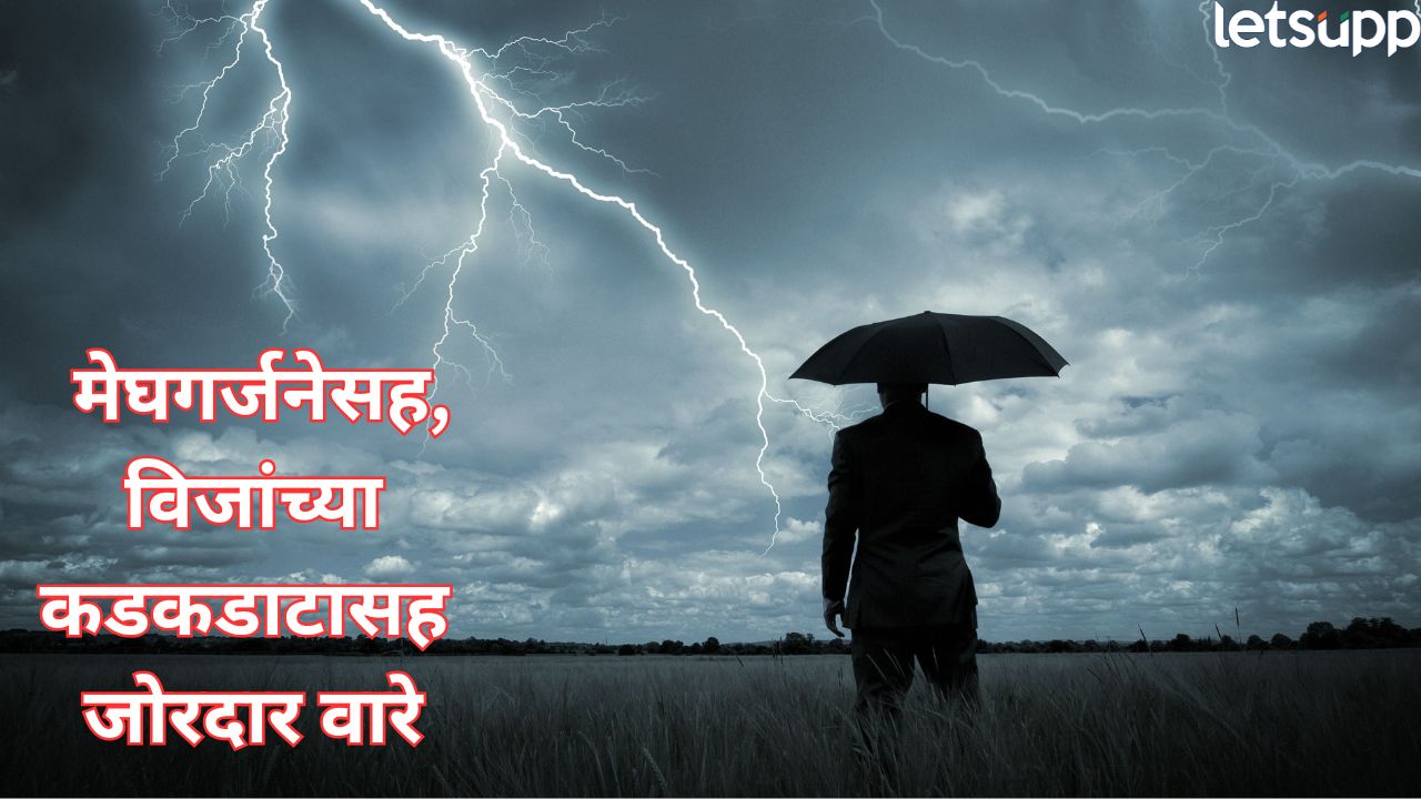 काम असेल तरच घराबाहेर पडा! विजांसह वादळी पाऊस, 19 जिल्ह्यांना यलो अलर्ट Rain (2)