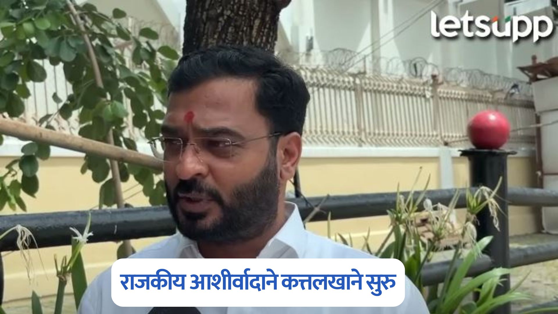 राजकीय आशीर्वादाने कत्तलखाने सुरु, पोलिसांचा सहभाग, कारवाई करा; आमदार खताळ आक्रमक