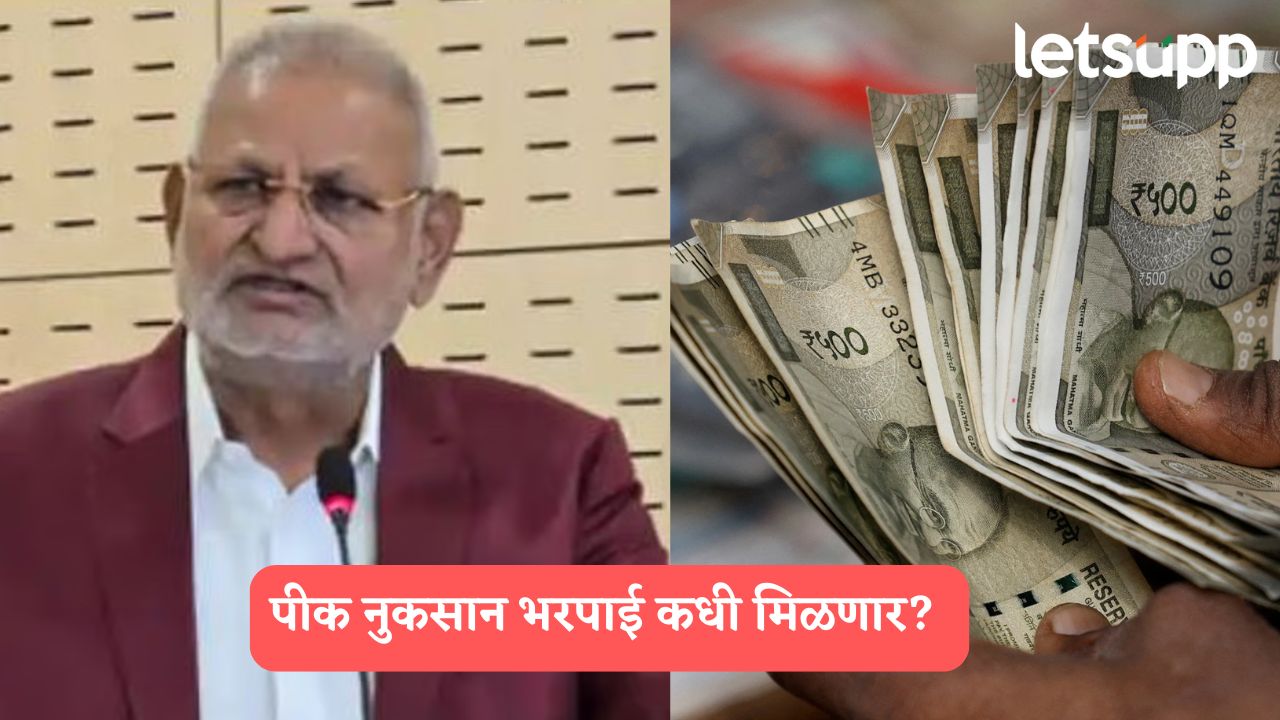 Crop insurance: पीकविम्याचे 379 कोटी रुपये लवकरच शेतकऱ्यांच्या खात्यात जमा होणार; कृषीमंत्र्यांची माहिती Crop Insurance