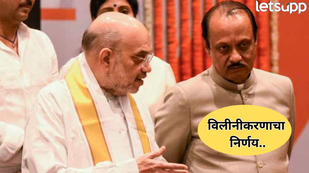 ‘भाजपाच्या नेत्यांना विचारूनच राष्ट्रवादीचे विलिनीकरण’; अजितदादांच्या शिलेदाराचं मोठं विधान NCP (3)
