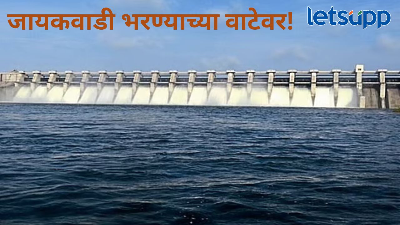 मराठवाड्यात पावसाची संततधार कायम; जायकवाडी धरणाच्या पाणीपातळीत झपाट्याने वाढ मराठवाड्यात पावसाची संततधार कायम; जायकवाडी धरणाच्या पाणीपातळीत झपाट्याने वाढ