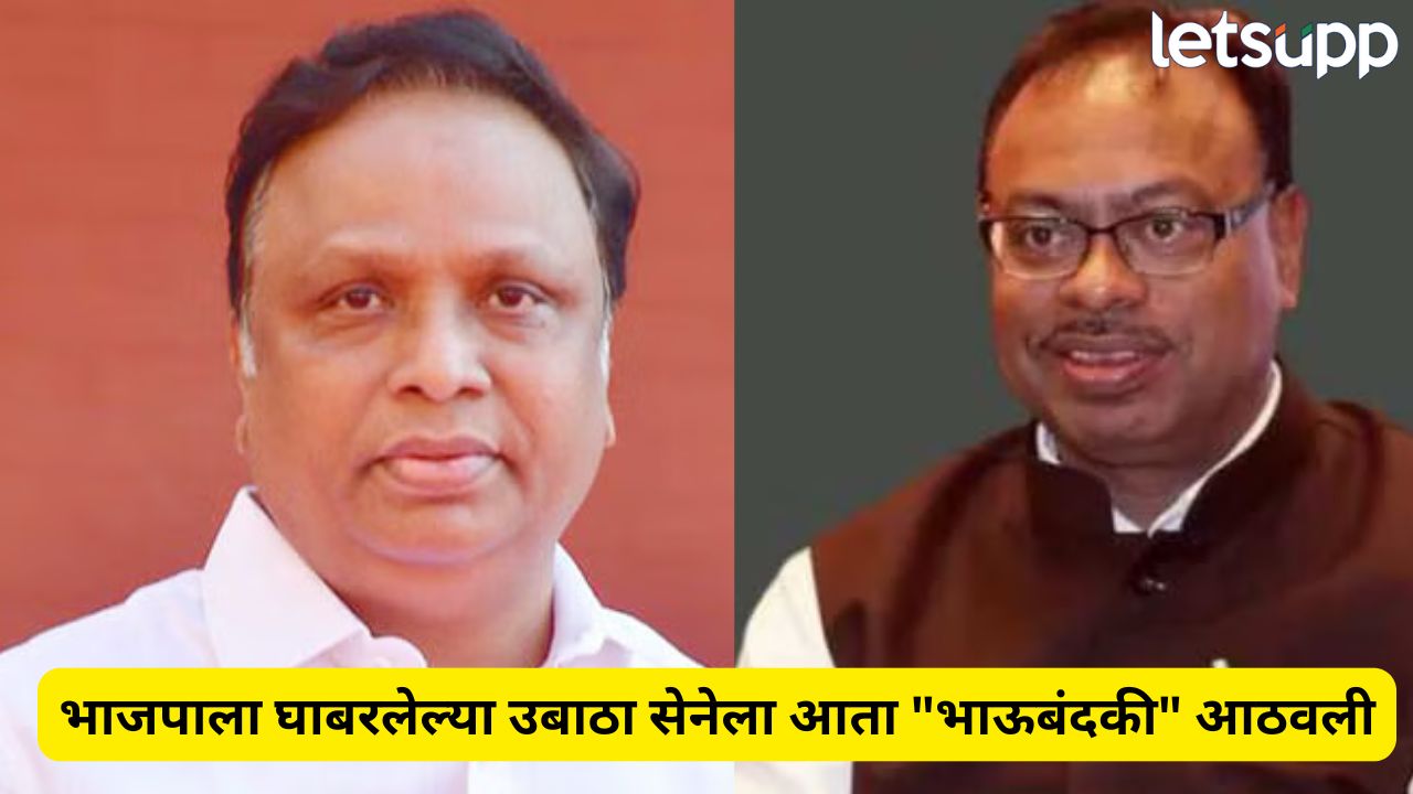 निवडणुकीत हरणार म्हणून कुटुंब तहात जिंकण्याचा प्रयत्न; भाजप नेत्यांचा ठाकरे भावांना टोला Politics (18)