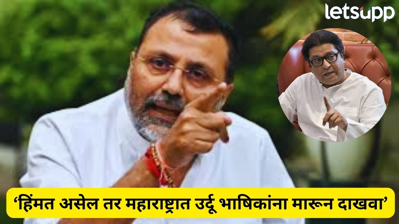 ‘आपल्या घरात कुत्राही वाघ…’ भाजप खासदाराचे ठाकरे बंधूंवर टीकास्त्र Politics (49)
