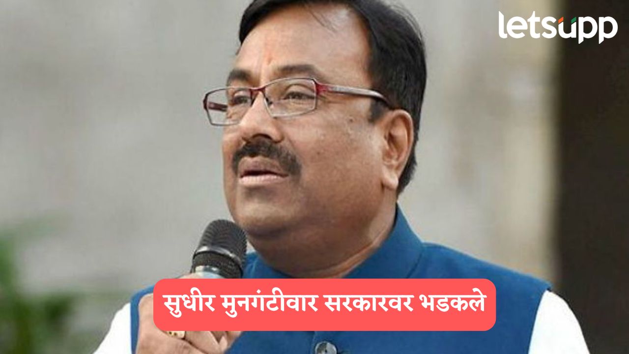 वृक्षतोडीसंदर्भातील ‘तो’ निर्णय मागे, मुनगंटीवारांचा वनमंत्री गणेश नाईकांना घरचा आहेर Sudhir Mungantiwar