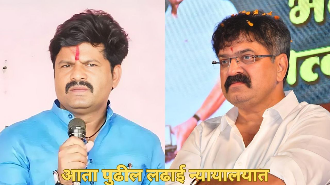 “सहकाऱ्यांची चूक असेल तर कारवाई करा, आता आम्ही..”, विधानभवन राडा प्रकरणी पडळकरांचं वक्तव्य Gopichand Padalkar And Jitendra Awhad