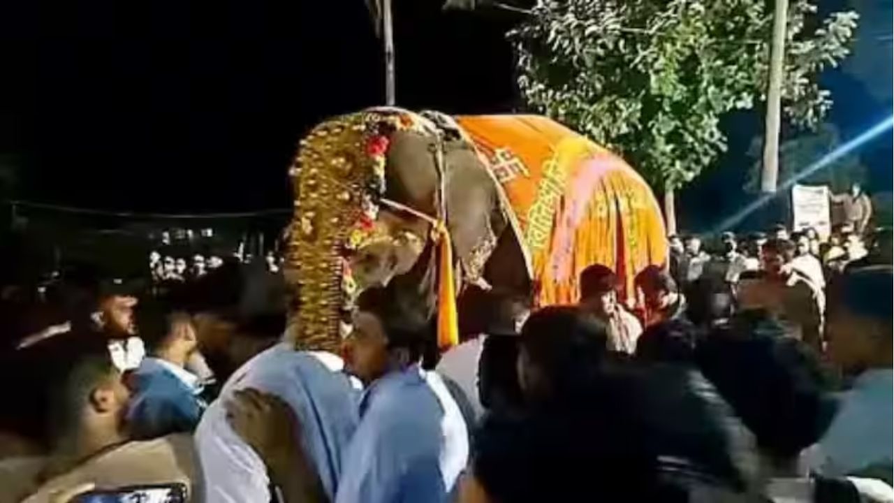 महादेवी हत्तीणीला परत आणणारच! कोल्हापुरात लोकप्रतिनिधींची स्वाक्षरी मोहीम; विरोधक-सत्ताधाऱ्यांची एकजूट Mahadevi Elephant