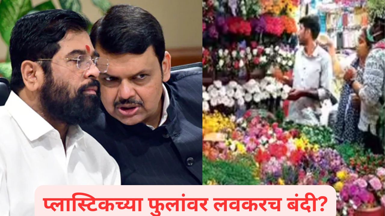 राज्यात प्लास्टिकच्या फुलांवर बंदी येणार? 105 आमदारांच्या सह्यांचं पत्र; प्लास्टिक फुलांची होळी Plastic Flower