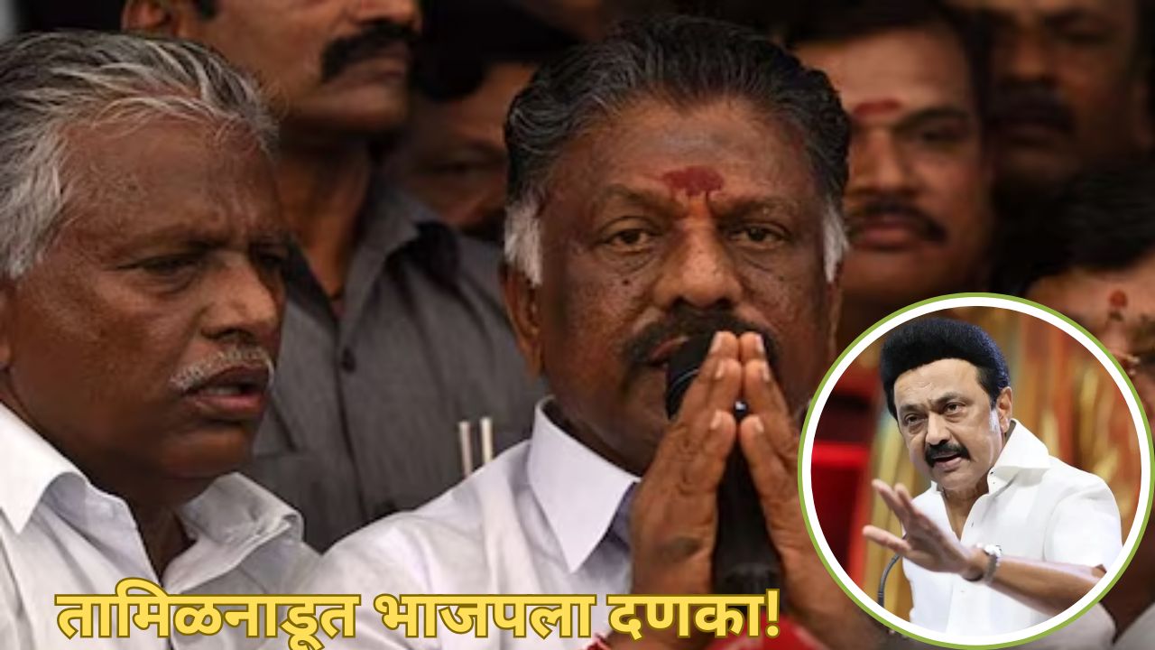 तामिळनाडूत भाजपला दणका! CM स्टॅलिनची भेट अन् पन्नीरसेल्वम NDA तून बाहेर; काय घडलं? Tamilnadu Politics