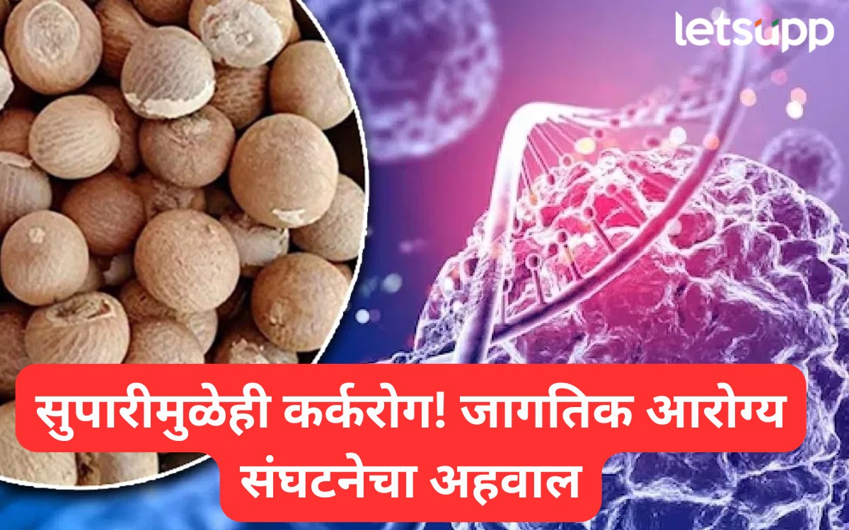 सुपारीमुळे कॅन्सरचा धोका? WHO चा अहवाल खरा की खोटा; भारतानं चॅलेंज स्वीकारलं! Cancer
