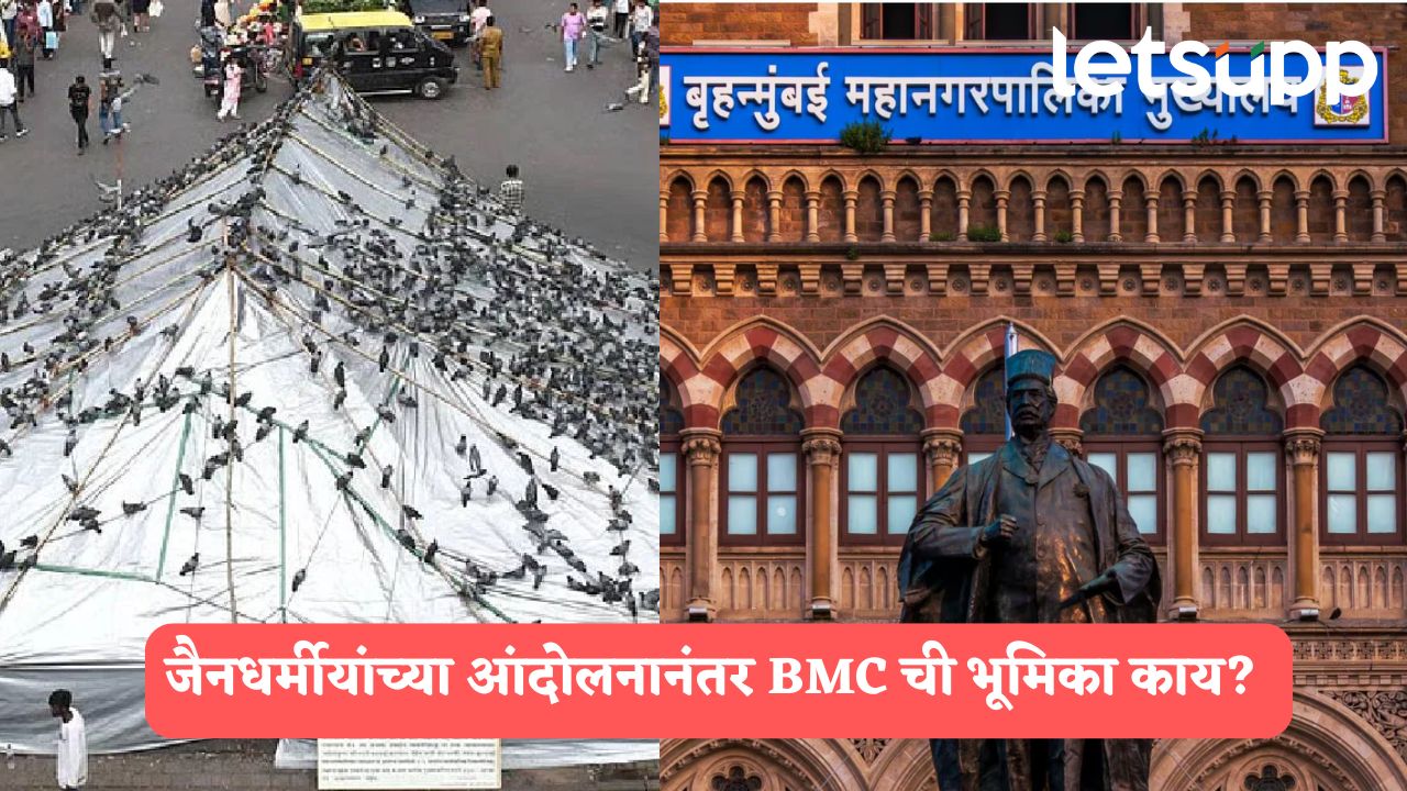 ताडपत्री काढणार नाही,  पुढील आदेशापर्यंत कबुतरखाना बंदच राहणार; BMC ची रोखठोक भूमिका
