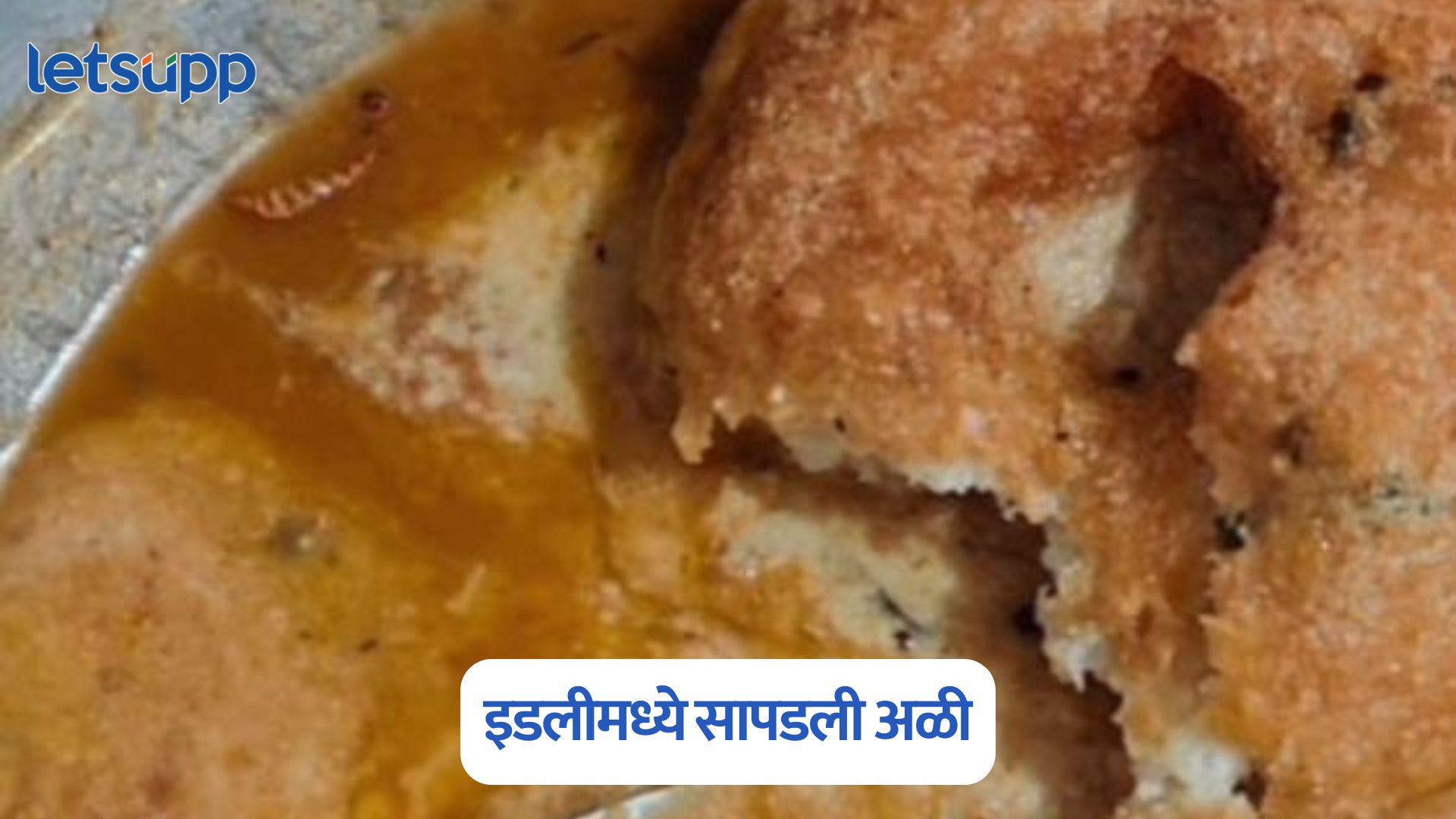 कल्याणामध्ये धक्कादायक प्रकार, इडलीमध्ये सापडली अळी; दुकानातील सामान जप्त Kalyan
