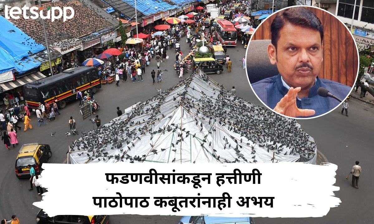 कबूतरखाने अचानक बंद करणे योग्य नाही;  मुख्यमंत्री फडणवीसांकडून हत्तीणी पाठोपाठ कबुतरांनाही अभय
