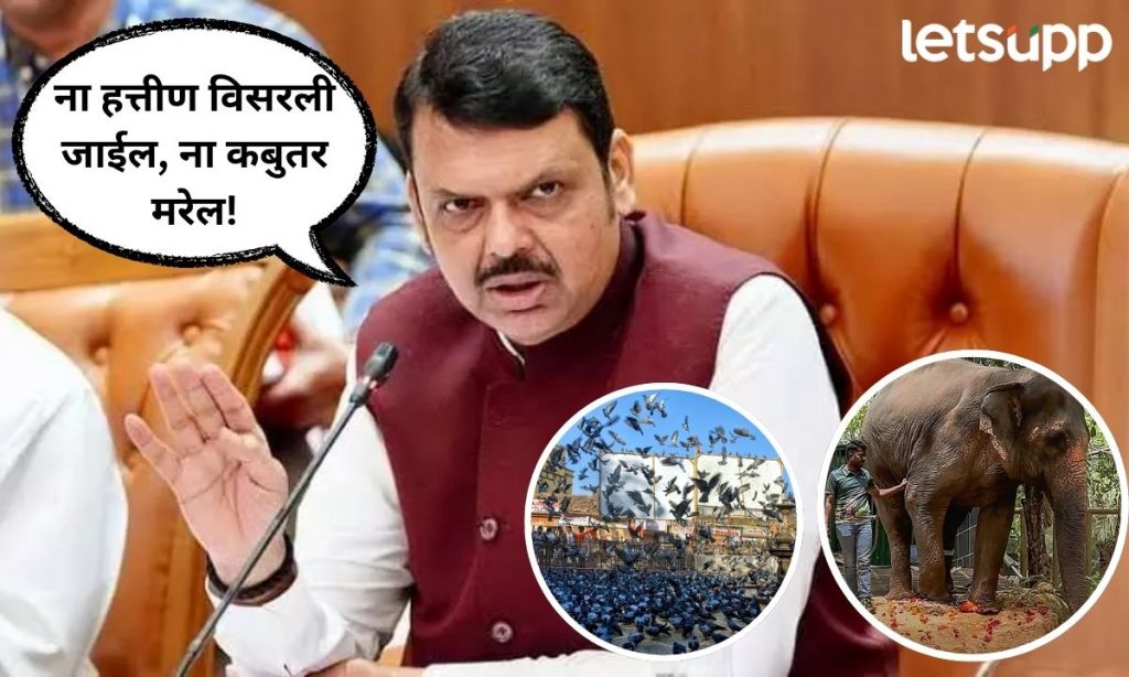 Letsupp Marathi (51)