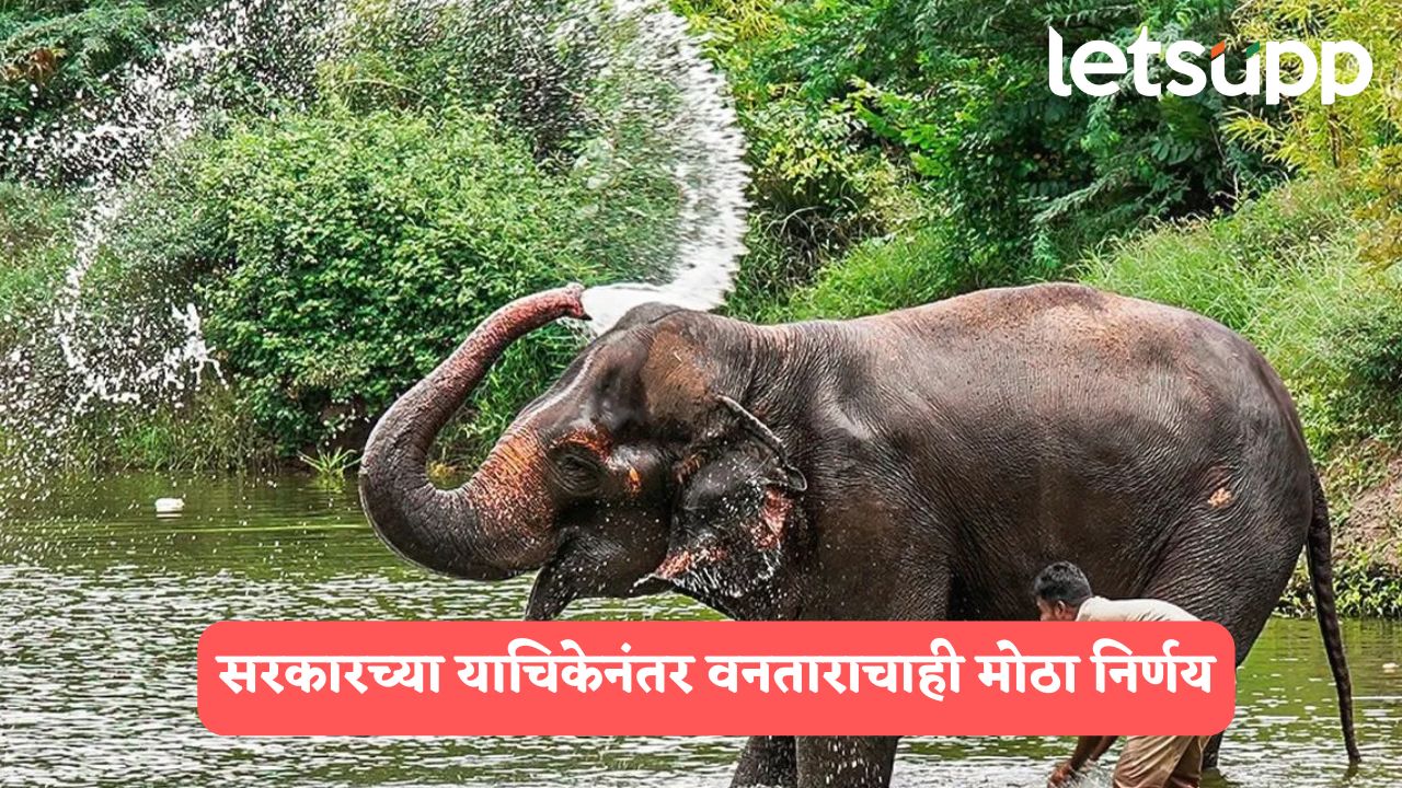 सरकारच्या याचिकेनंतर वनताराने मागितली माफी, माधुरीसाठी नांदणीमध्ये पुनर्वसन केंद्र सुरु करण्याचा प्रस्ताव
