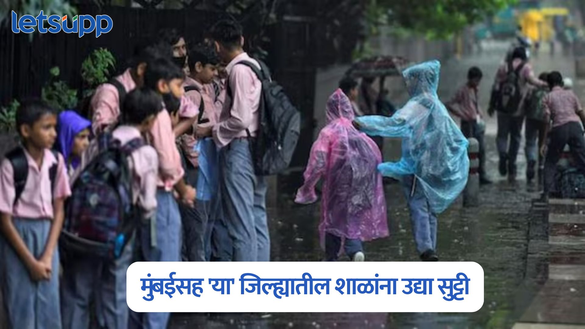 राज्यात पावसाची जोरदार बॅटिंग; मुंबईसह ‘या’ जिल्ह्यातील शाळांना उद्या सुट्टी जाहीर Maharashta Rain Update