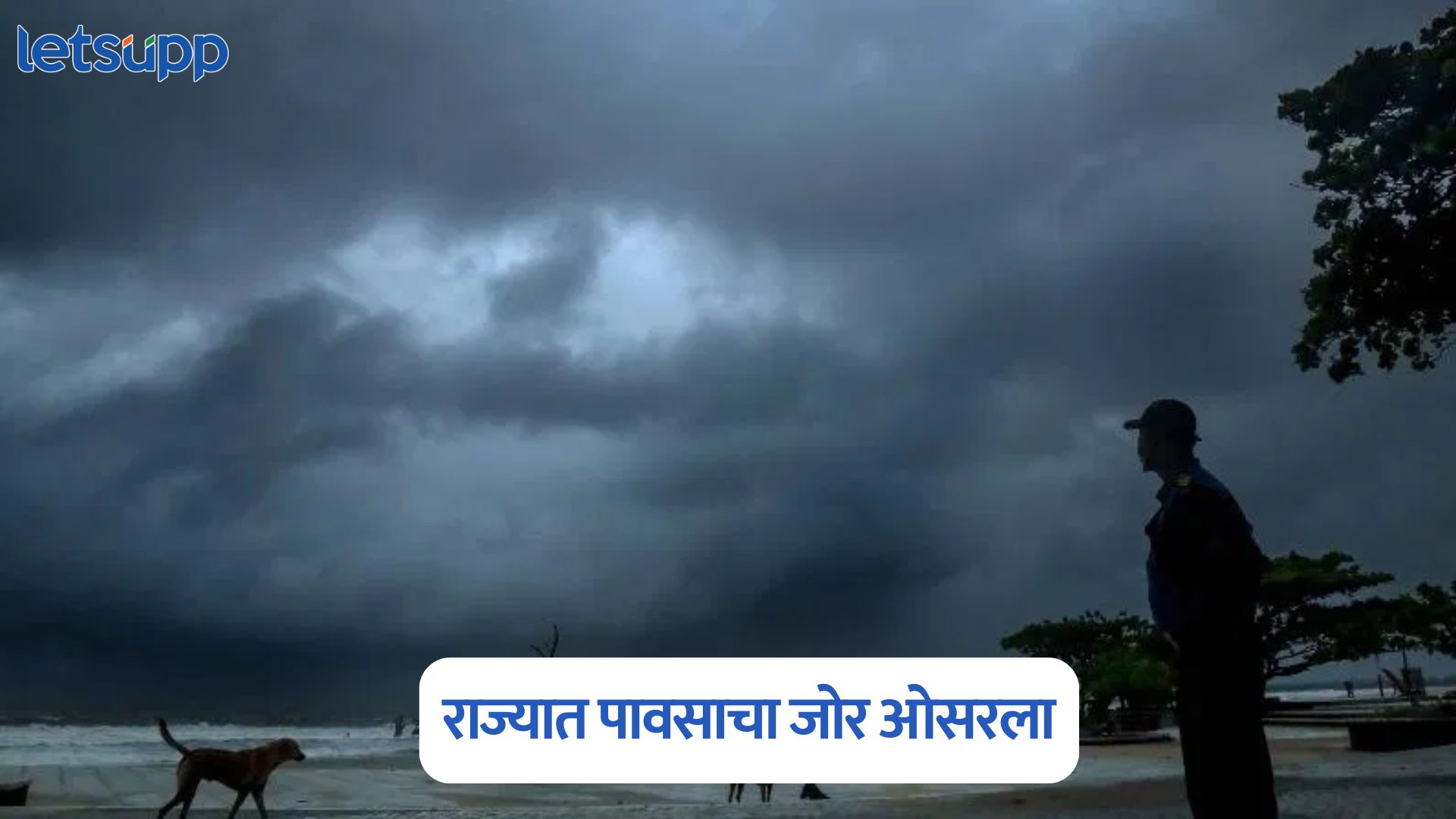 शेतकऱ्यांच्या चिंतेत भर, राज्यात पावसाचा जोर ओसरला; जाणून IMD अलर्ट