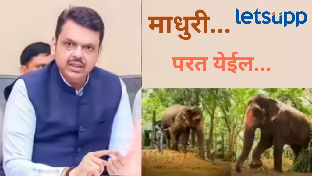 Video : 'माधुरी' हत्तीण सुखरुप नांदणीत परतणार?, कोर्ट आदेश देईल अशी अपेक्षा, मुख्यमंत्री काय म्हणाले?