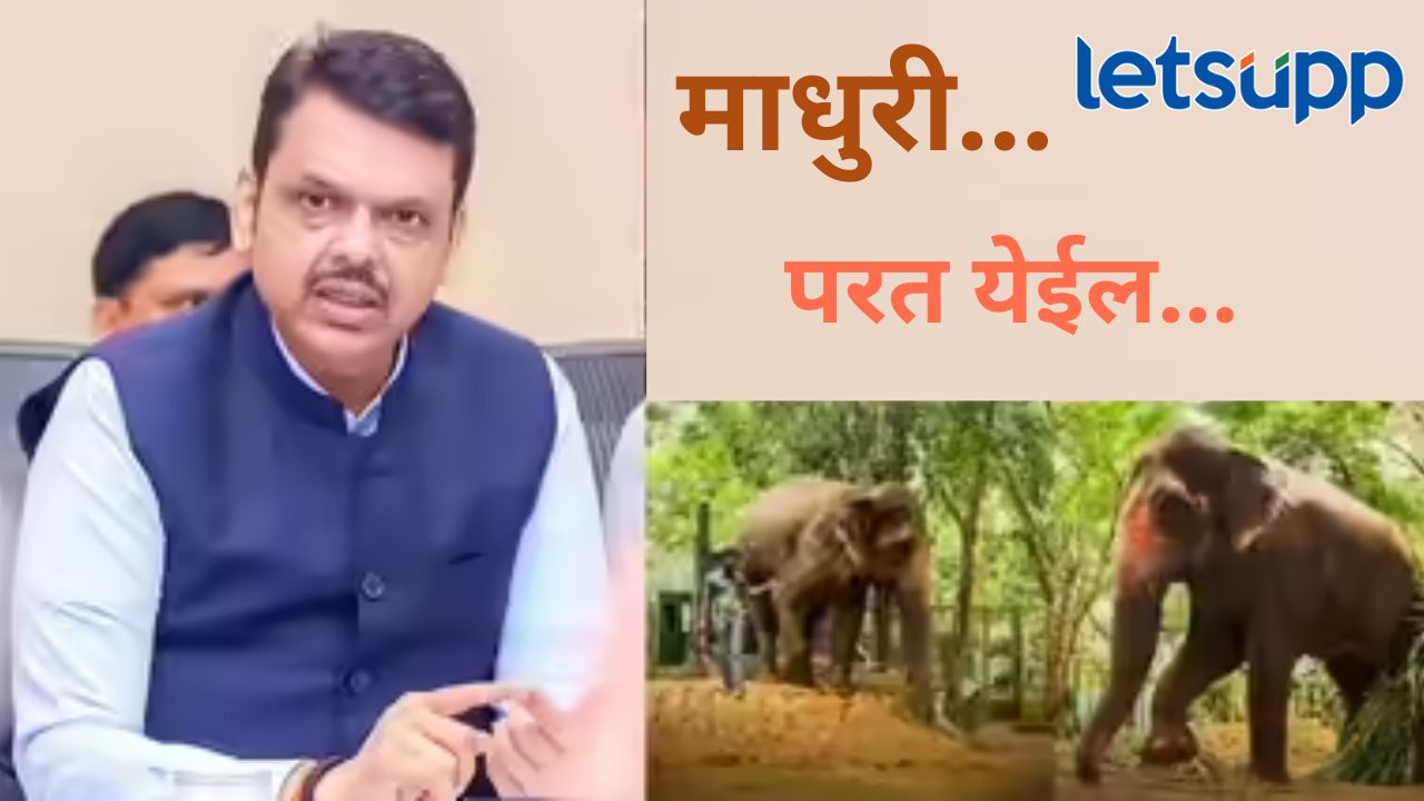 Video : ‘माधुरी’ हत्तीण सुखरुप नांदणीत परतणार?, कोर्ट आदेश देईल अशी अपेक्षा, मुख्यमंत्री काय म्हणाले?