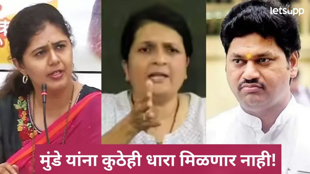धनंजय मुंडे अन् पंकजा मुंडे यांच्या राजकारणावर दमानियांचं मोठ विधान, वाचा नक्की काय म्हणाल्या?