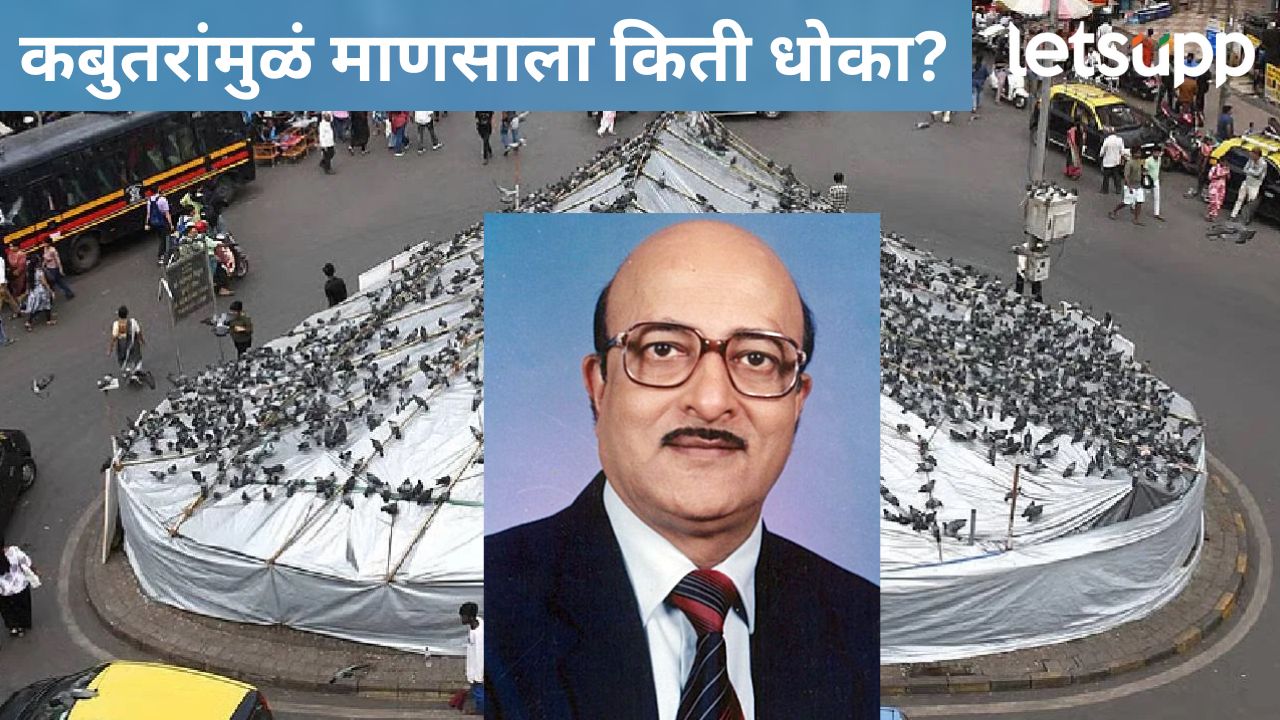 कबुतरांच्या विष्ठेमुळे मानवी आरोग्याला किती धोका; वाचा, डॉ. कल्याण गंगवाल नक्की काय म्हणाले?