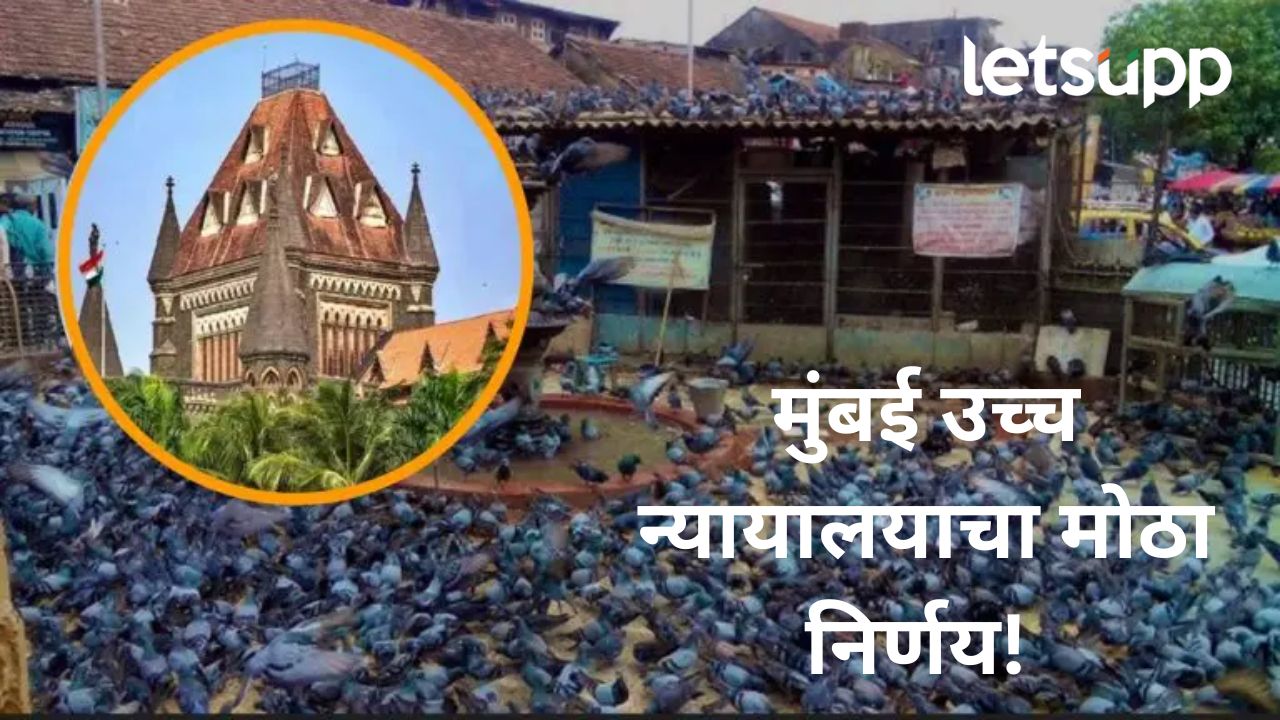 कबुतरखान्यांवरील बंदी कायम राहील; मुंबई उच्च न्यायालयाचा मोठा निर्णय, पालिकेलाही दिला आदेश कबुतरखान्यांवरील बंदी कायम राहील; मुंबई उच्च न्यायालयाने मोठा निर्णय, पालिकेलाही दिला आदेश