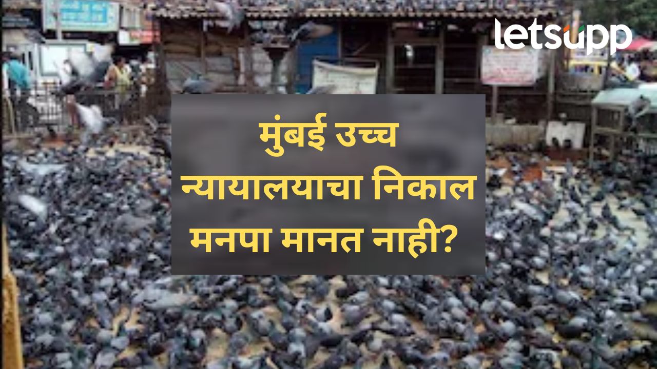 महापालिका आपले निर्णय बदलत नाही; उच्च न्यायालयाच्या निर्णयानंतर काय म्हणाले मनपा वकील? महापालिका आपले निर्णय बदलत नाही; उच्च न्यायालयाच्या निर्णयानंतर काय म्हणाले मनपा वकील?