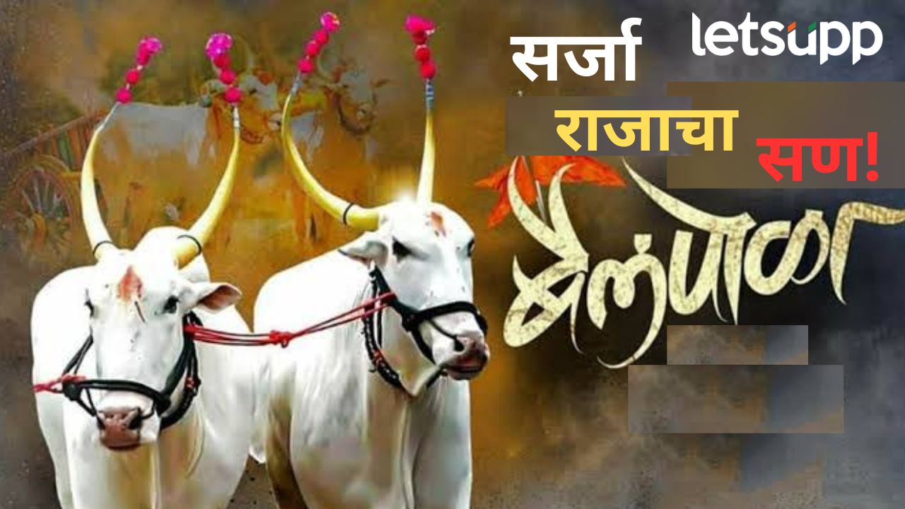 शेतकऱ्यांचा साथीदार बैल सजला; आज देशभरात बैलपोळ्याचा सण, वाचा का साजरा करतात पोळा? शेतकऱ्यांचा साथीदार बैल सजला; आज देशभरात बैलपोळ्याचा सण, वाचा का साजरा करतात पोळा?