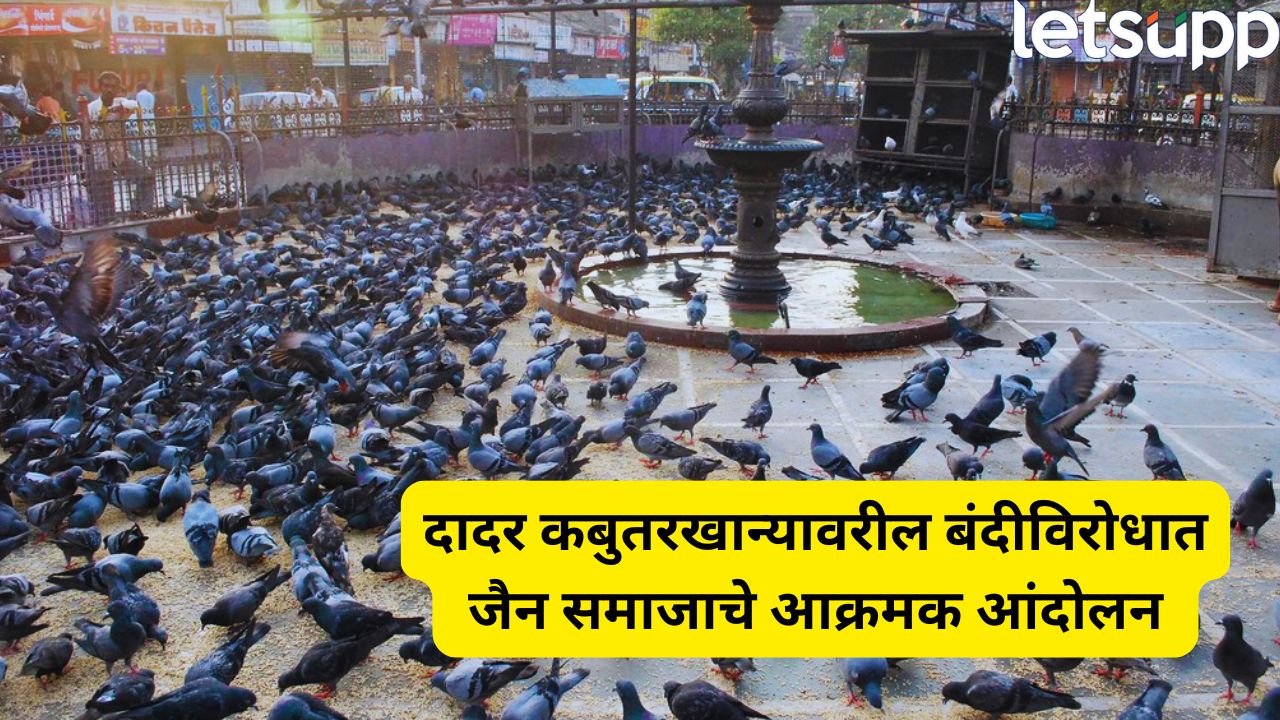 कबुतरखान्यावर पुन्हा ताडपत्री! जैन समाज आक्रमक, मराठी एकीकरण समितीकडून आंदोलनाचा इशारा