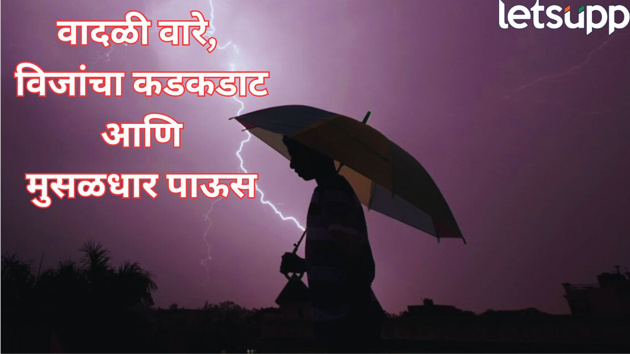 विजांचा कडकडाट, सोसाट्याच्या वार्यासह मुसळधार पाऊस; अहिल्यानगरला 19 ऑगस्टपर्यंत ‘यलो अलर्ट’ Rain (15)