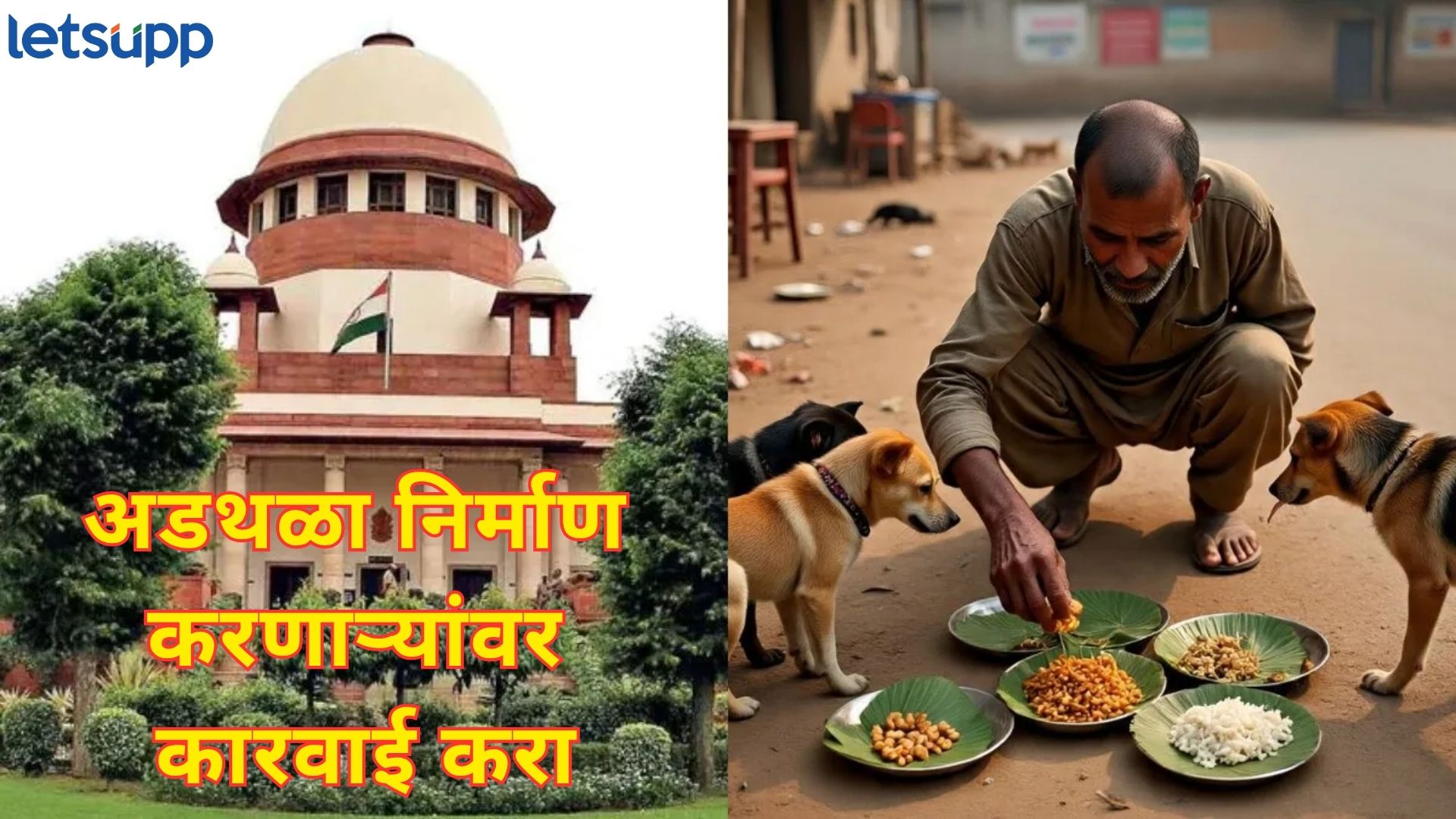 भटक्या श्वानांना पकडून आत टाका; विरोध करणाऱ्यांवर कारवाई करा; सर्वोच्च न्यायालयाचे कठोर आदेश